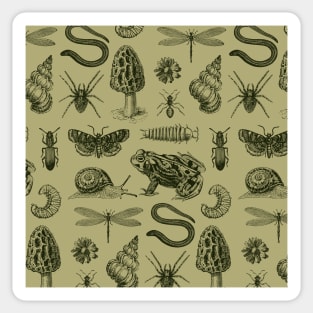 Biology Vintage Goblincore in Natural History Sticker